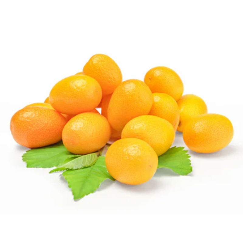 🌱 新鲜 金桔（01.23到货-限自取或配送!）Kumquat 500g